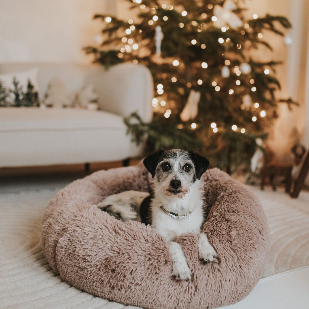 byBello Obláčik Plyšový Peliešok pre Psa