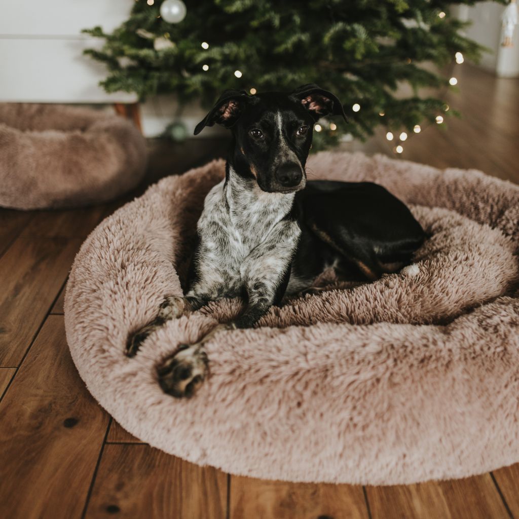 byBello Obláčik Plyšový Peliešok pre Psa