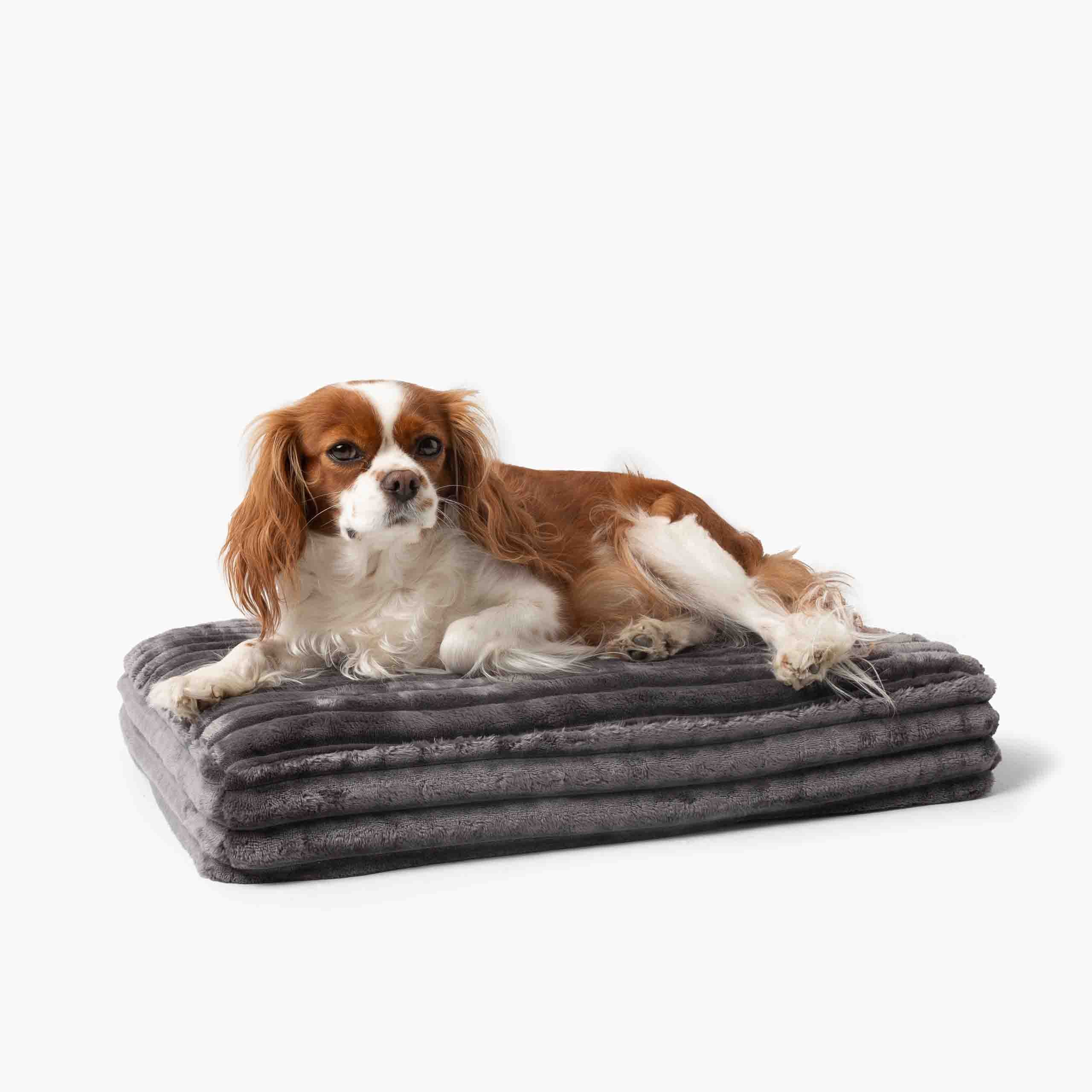 Pelech pre Psa BELLO Menčestrový Tmavosivý