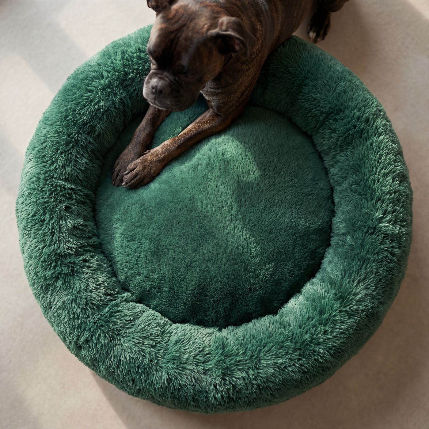 Pelech pre Psa OBLÁČIK Premium Zelený