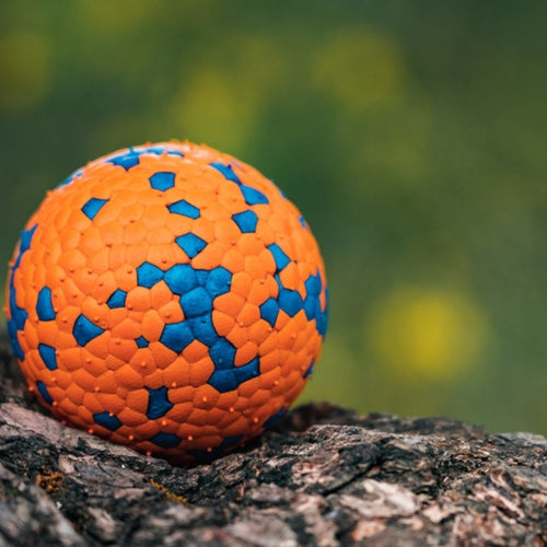 Extra pevná loptička pre psa odolná voči hryzeniu