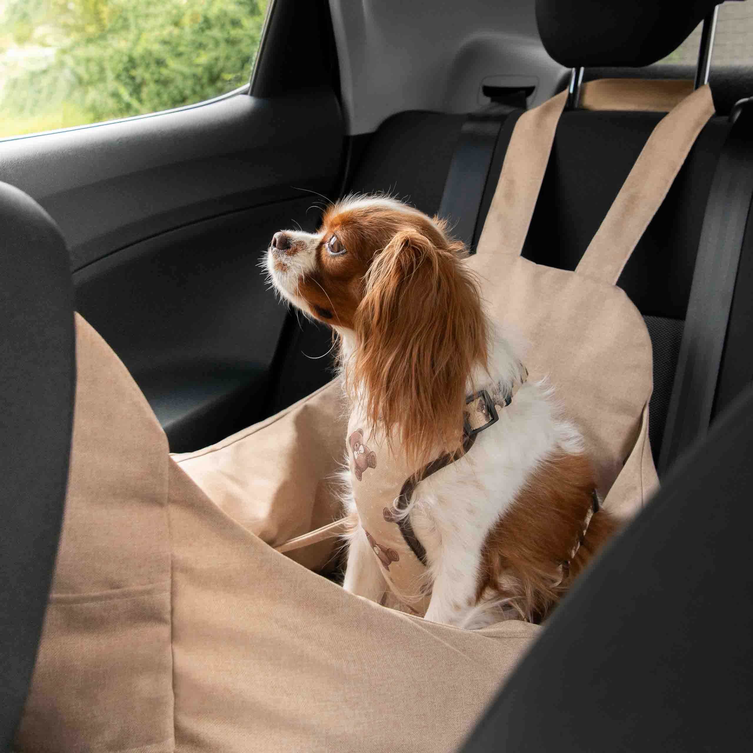 byBello Autosedačka pre psa 2 v 1