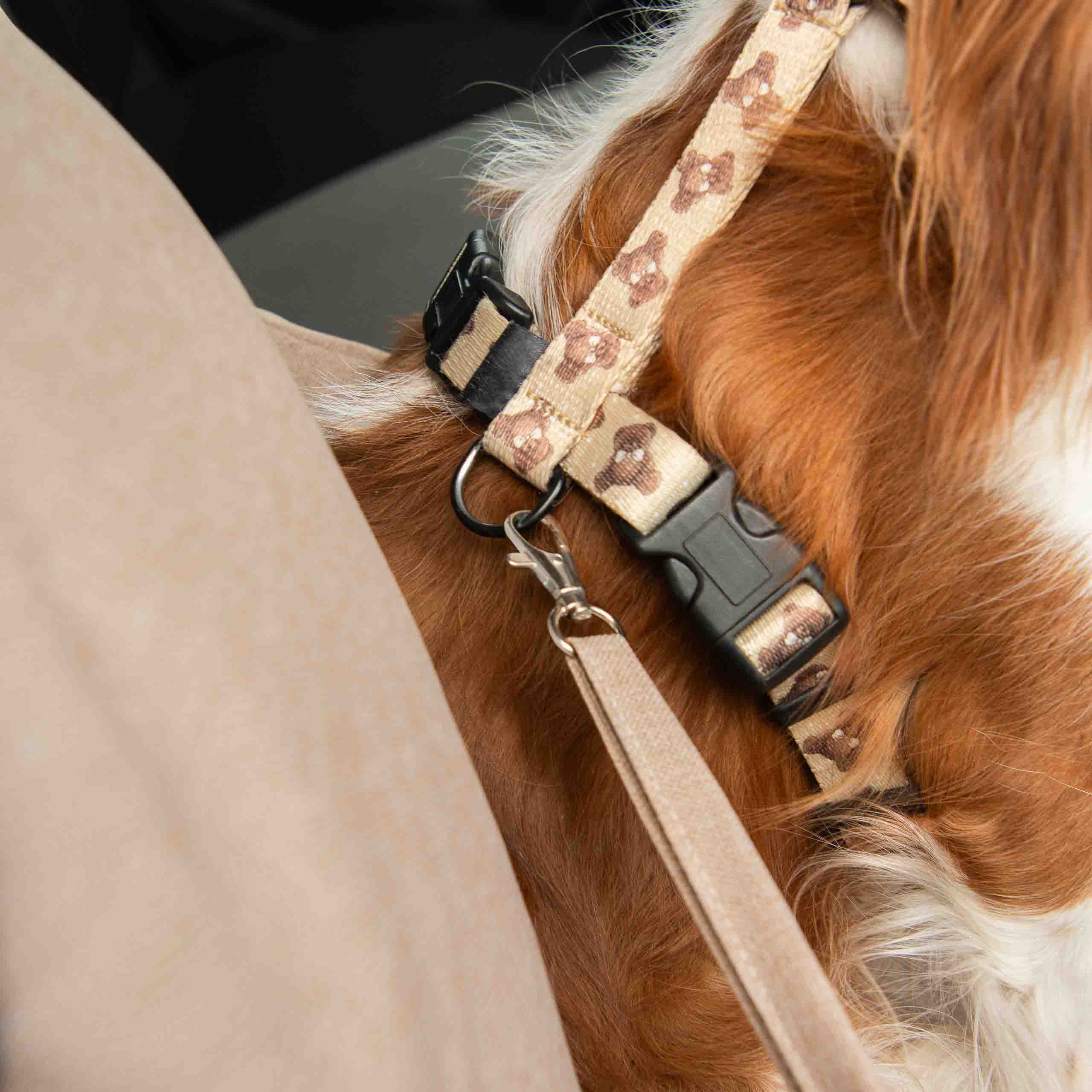 byBello Autosedačka pre psa 2 v 1