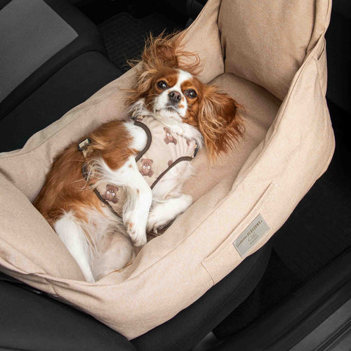 byBello Autosedačka pre psa 2 v 1