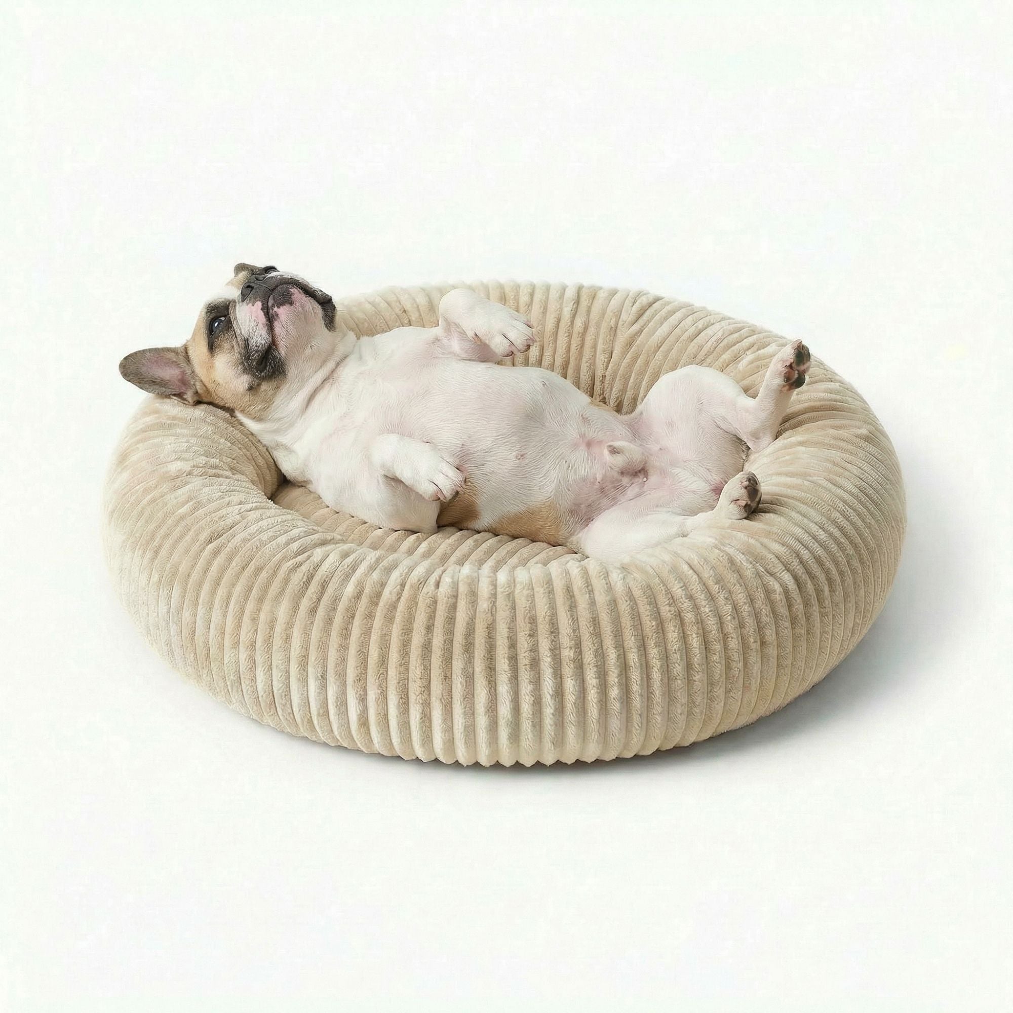 Pelech pre Psa DONUT