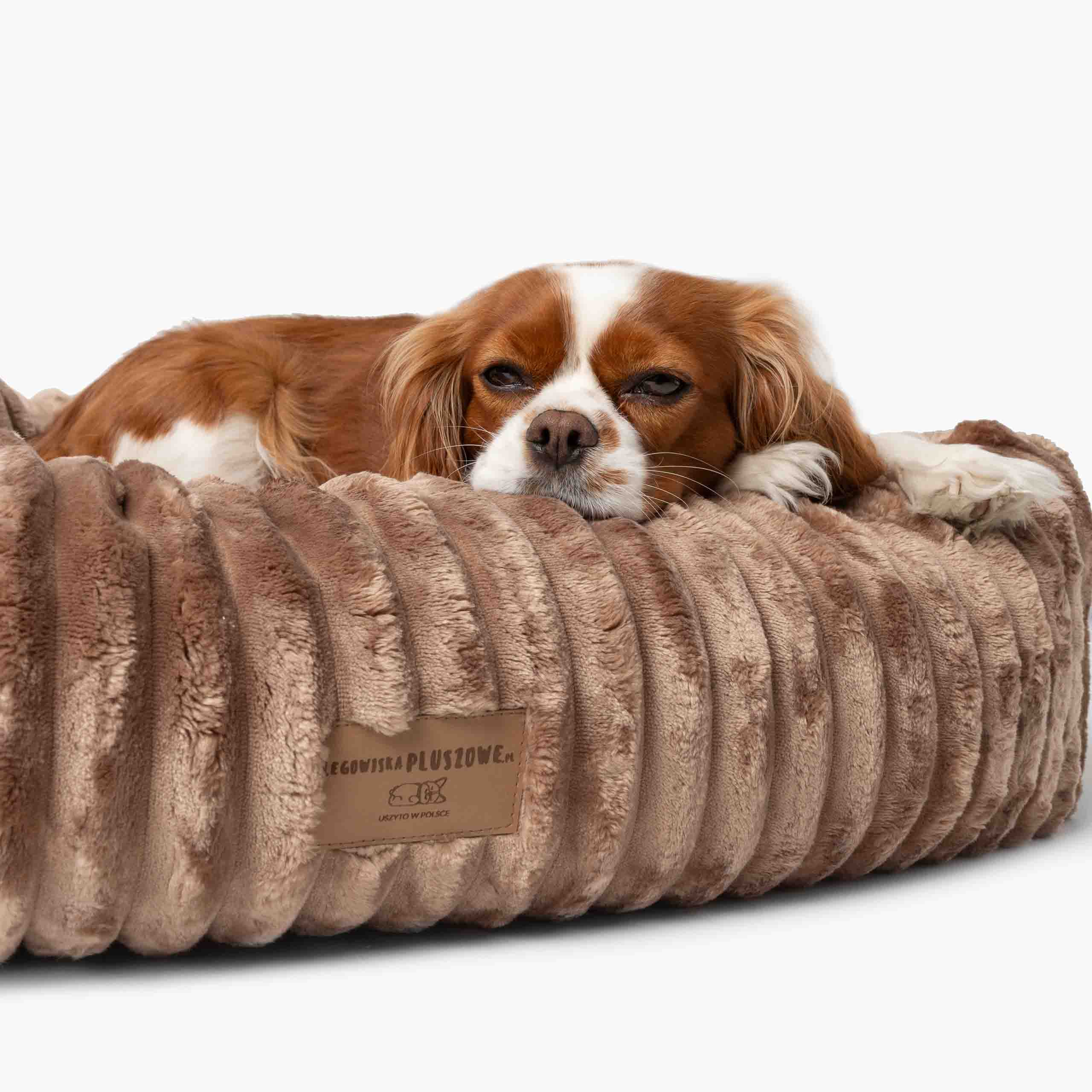 Pelech pre Psa BELLO Menčestrový Béžový