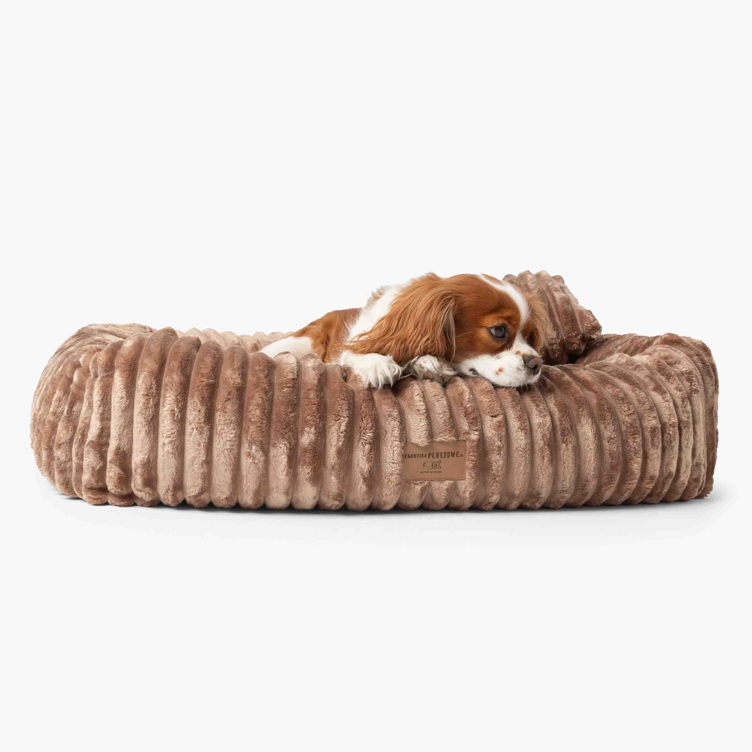 Pelech pre Psa BELLO Menčestrový Béžový