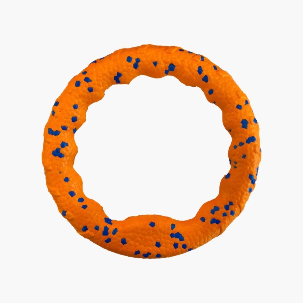 Odolné ringo pre psa 23 cm – hračka na aportovanie pre stredné a veľké psy