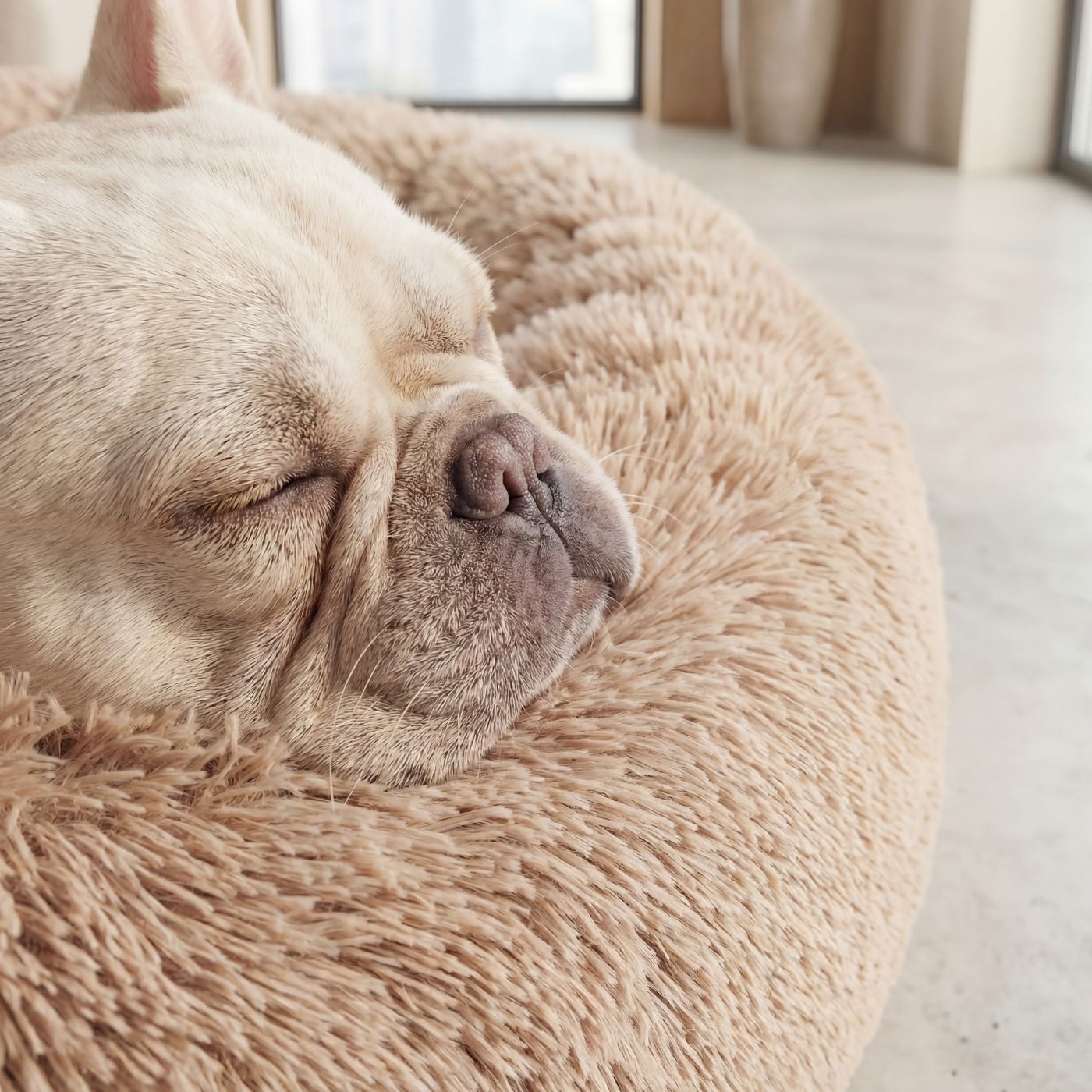 Pelech pre Psa OBLÁČIK Premium Béžový