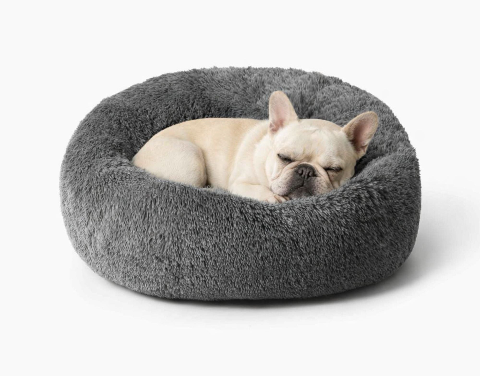 Francúzsky buldoček odpočívajúci v okrúhlom sivom pelechu