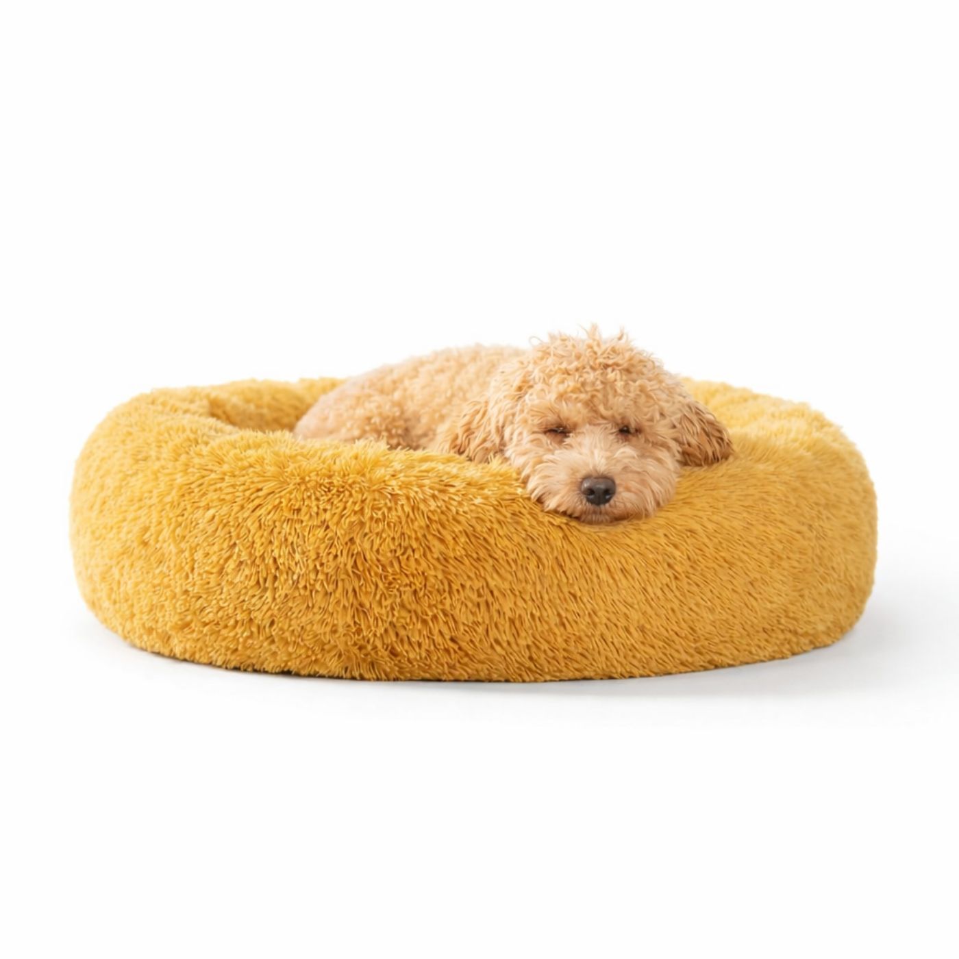 Pelech pre Psa OBLÁČIK Premium Medový