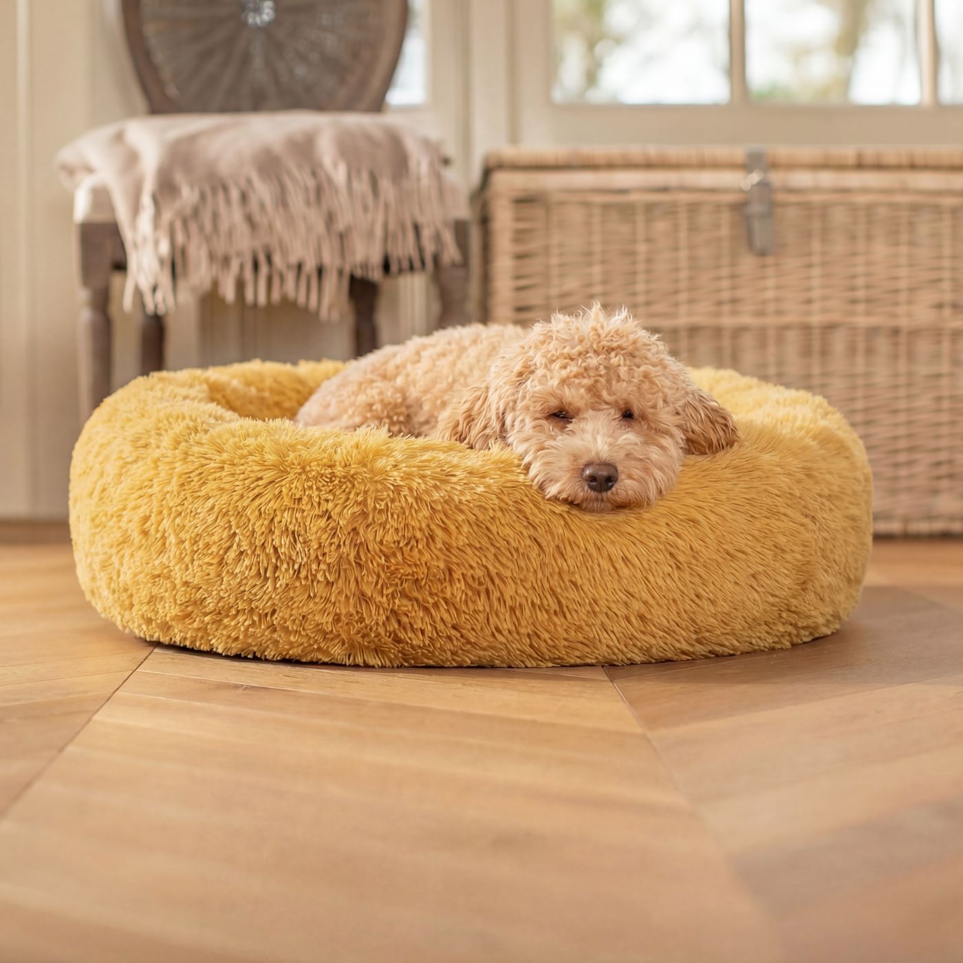 Pelech pre Psa OBLÁČIK Premium Medový