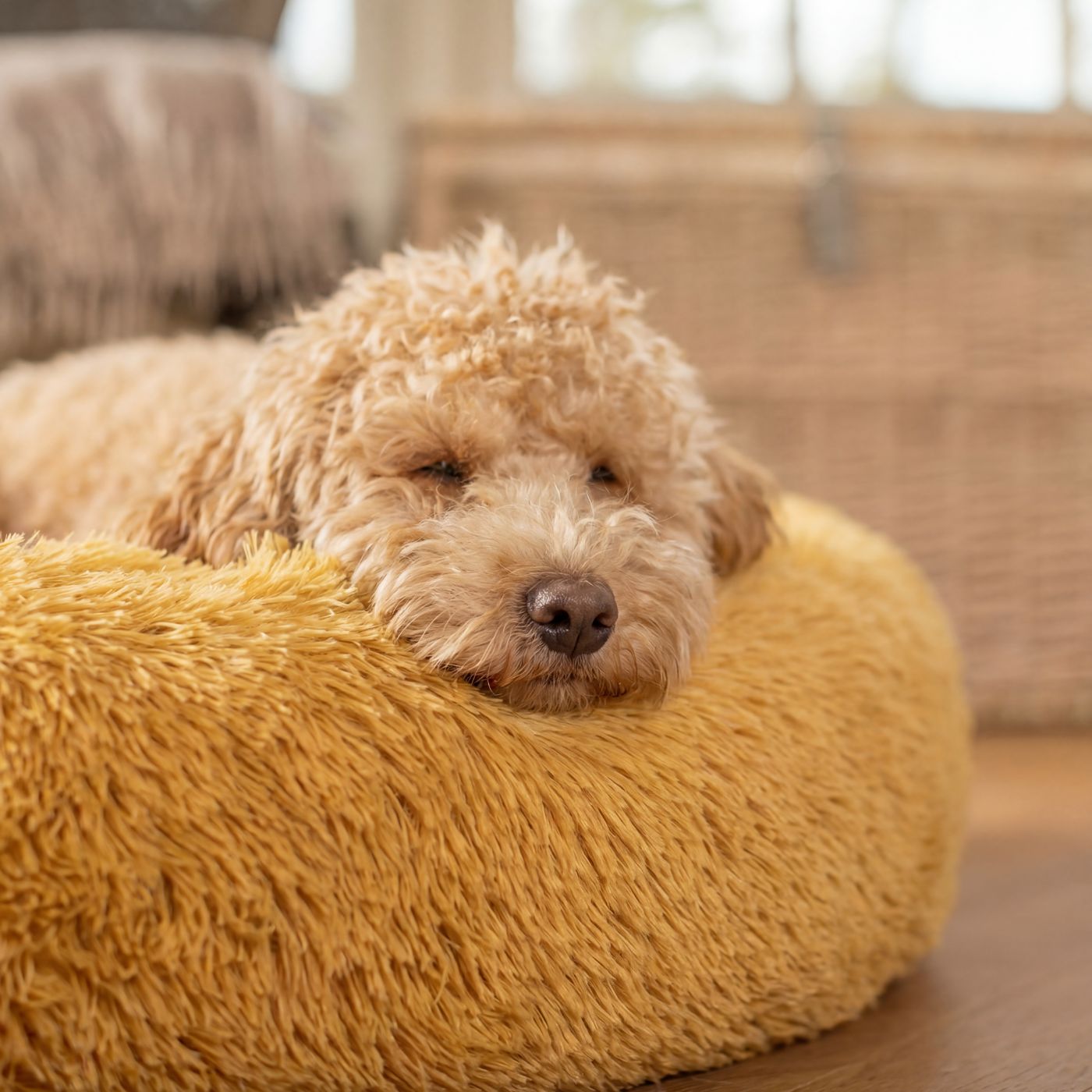 Pelech pre Psa OBLÁČIK Premium Medový