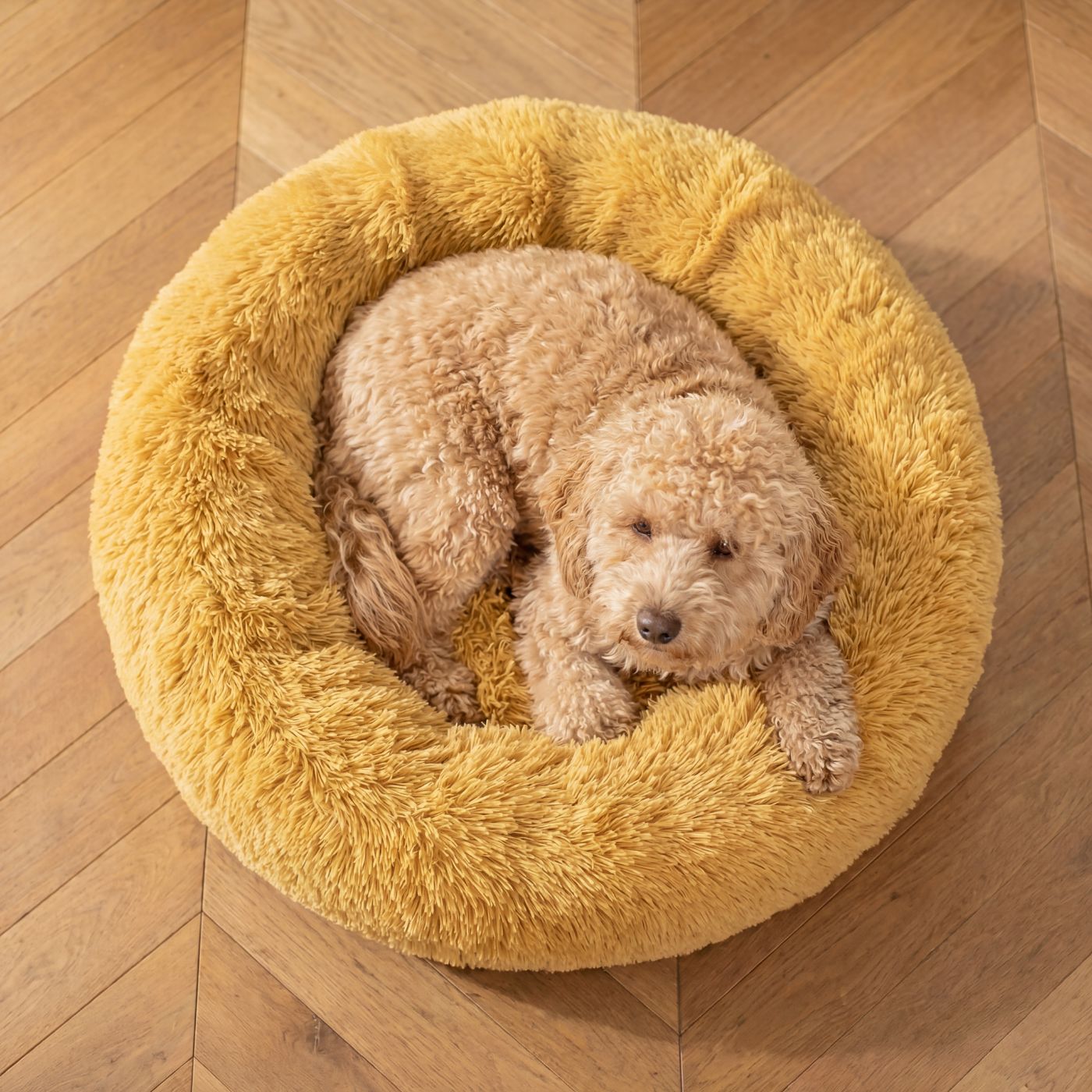 Pelech pre Psa OBLÁČIK Premium Medový