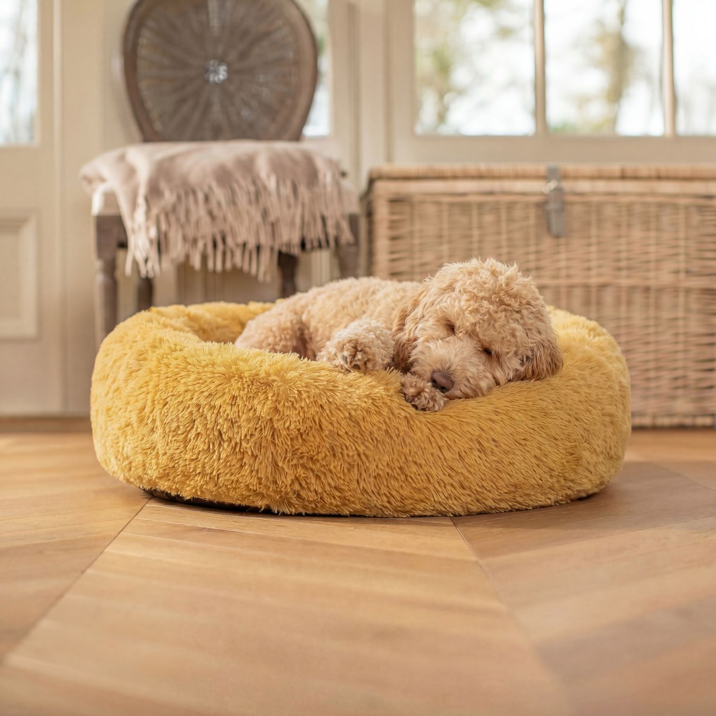 Pelech pre Psa OBLÁČIK Premium Medový