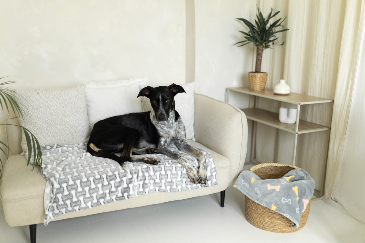 Svetlosivá fleecová deka z mäkkého materiálu